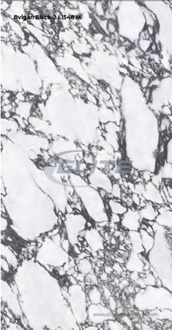 Bvlgari Black-2 L1548 M