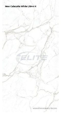 New Calacatta White L1644 H