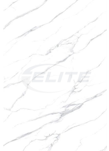 New Calacatta Veneto L1023 P