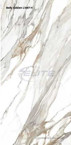 Belly Golden L1067 H