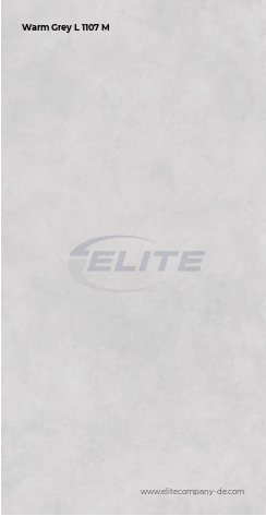 Warm Grey L 1107 M