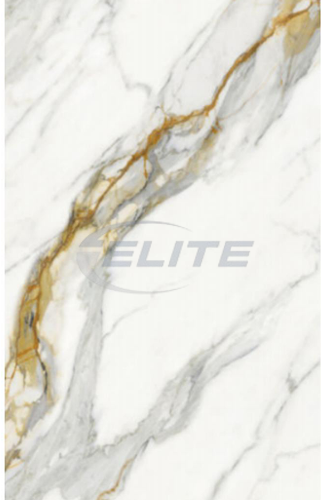 Du Bai Golden L 1064 P A